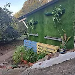 Mamposo * Tacoronte