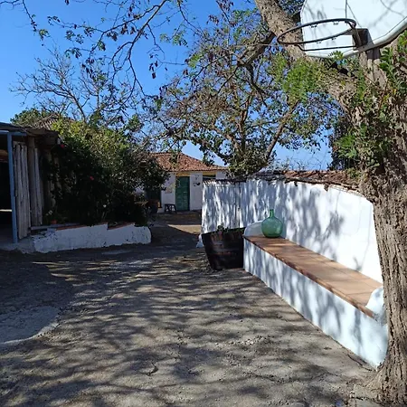 Mamposo Nyaraló Tacoronte