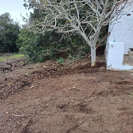 Mamposo * Tacoronte