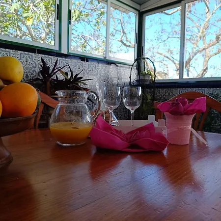 Mamposo * 塔科龙特