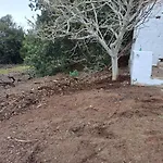 Mamposo * Такоронте