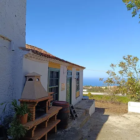Mamposo Tacoronte