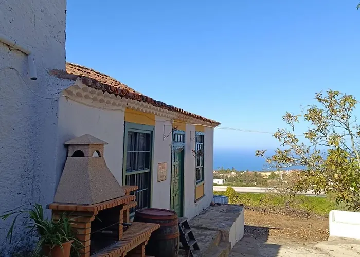 Mamposo Tacoronte