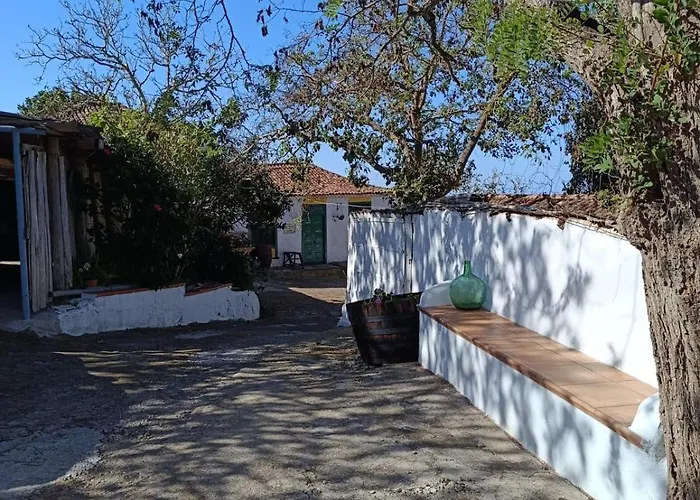 Mamposo Ferienhaus Tacoronte